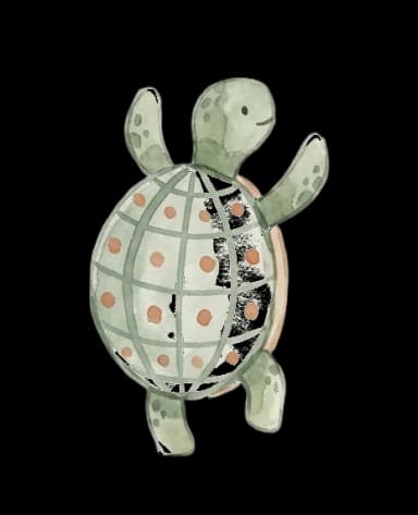 Happy turtle