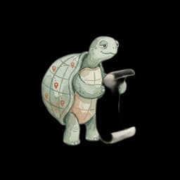 Wise turtle with scroll